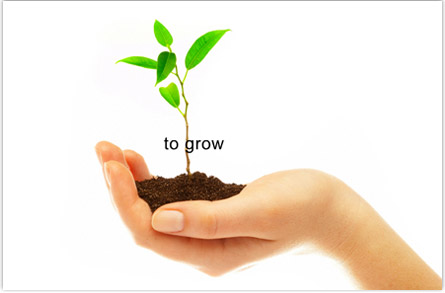 A penis can be grown